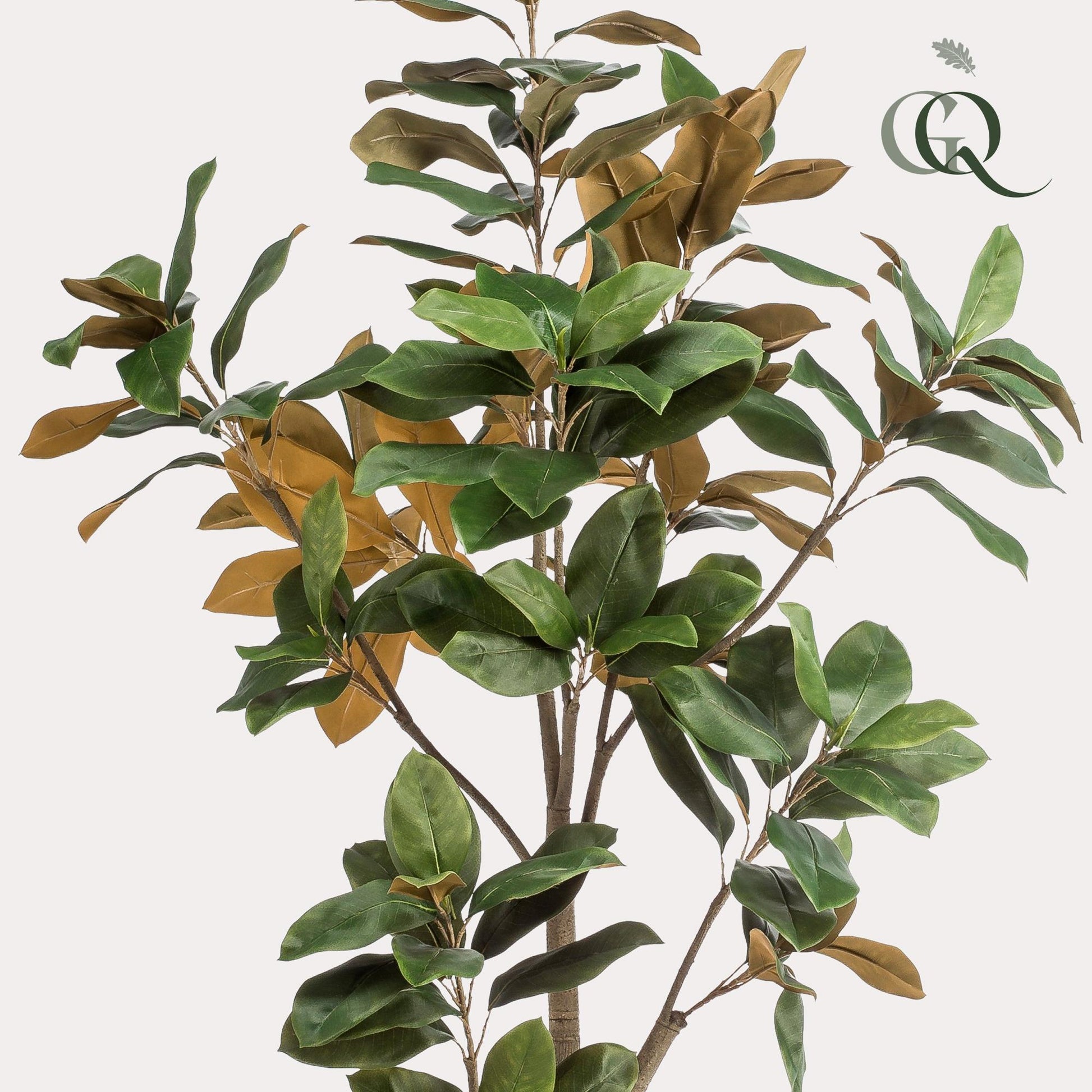 Kunstplant - Magnolia Grandiflora - 180 cm - Forestbloom
