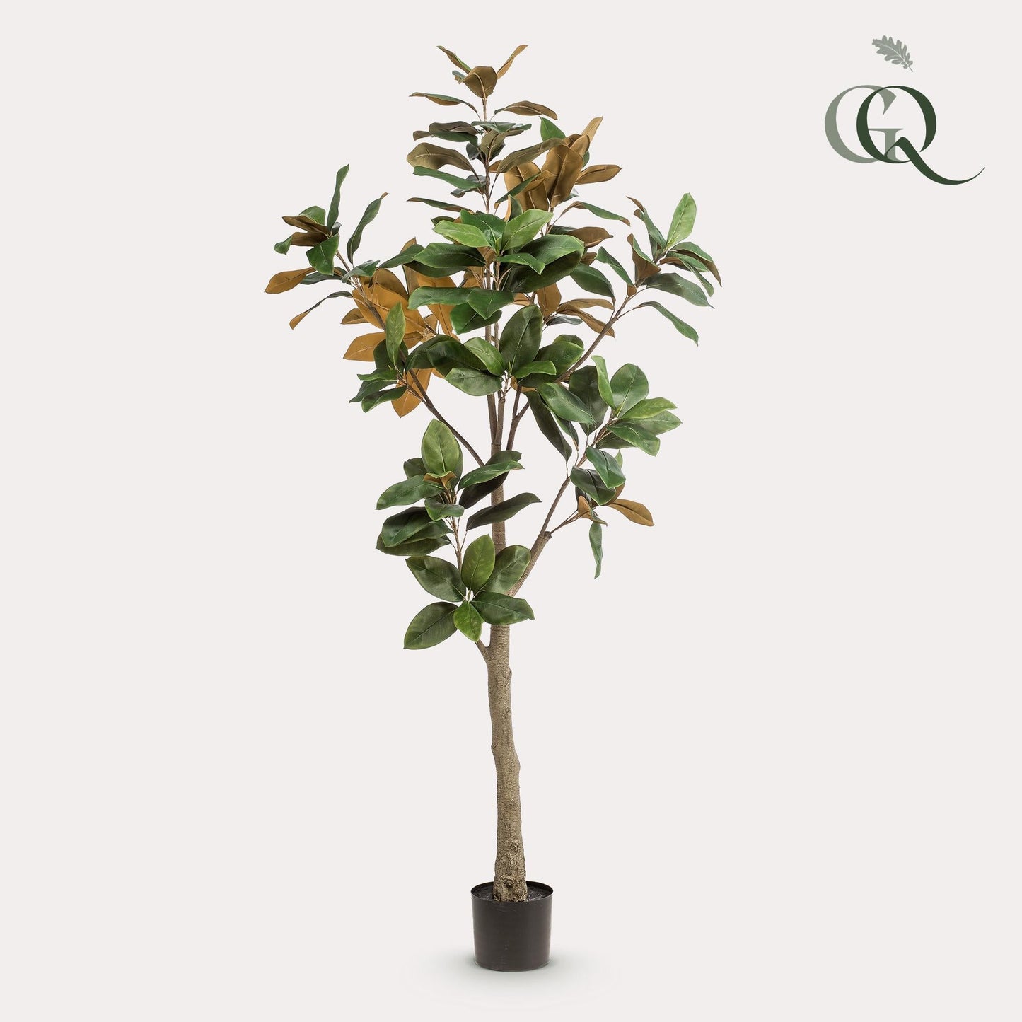 Kunstplant - Magnolia Grandiflora - 180 cm - Forestbloom