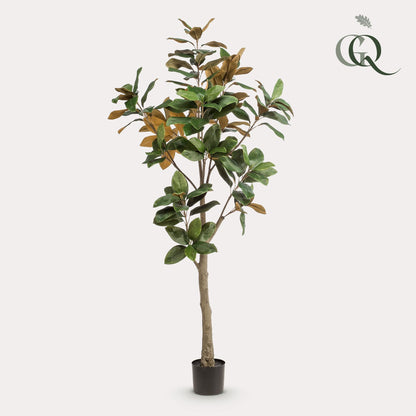 Kunstplant - Magnolia Grandiflora - 180 cm - Forestbloom