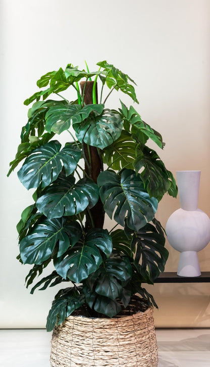 Kunstplant - Monstera Deliciosa - 150 cm - Forestbloom
