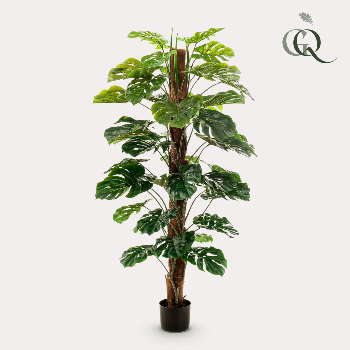 Kunstplant - Monstera Deliciosa - 150 cm - Forestbloom