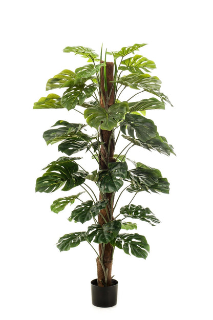 Kunstplant - Monstera Deliciosa - 150 cm - Forestbloom