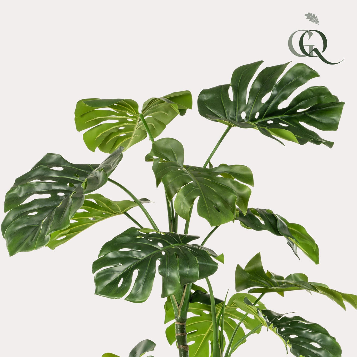 Kunstplant - Monstera - Gatenplant - 180 cm - Forestbloom