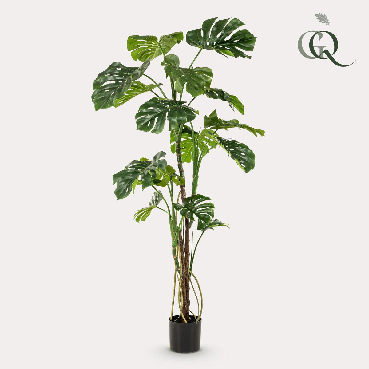 Kunstplant - Monstera - Gatenplant - 180 cm - Forestbloom