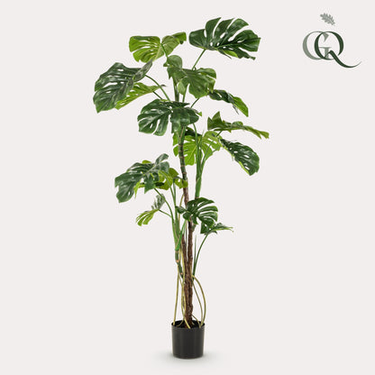 Kunstplant - Monstera - Gatenplant - 180 cm - Forestbloom