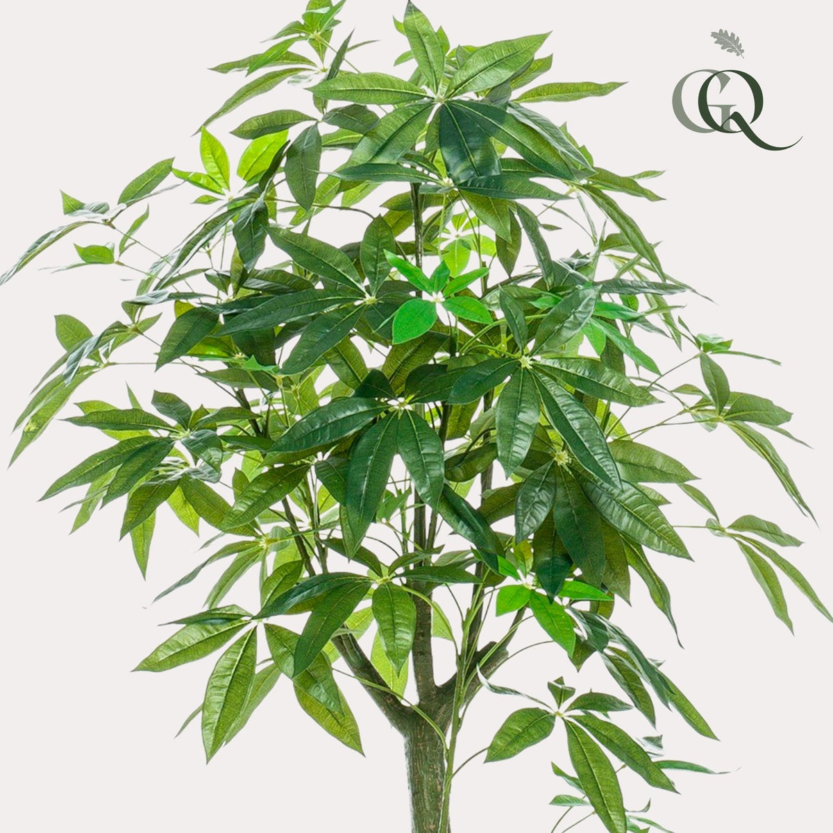 Kunstplant - Pachira Aquatica - Geldboom - 150 cm - Forestbloom
