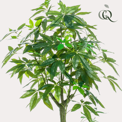Kunstplant - Pachira Aquatica - Geldboom - 150 cm - Forestbloom