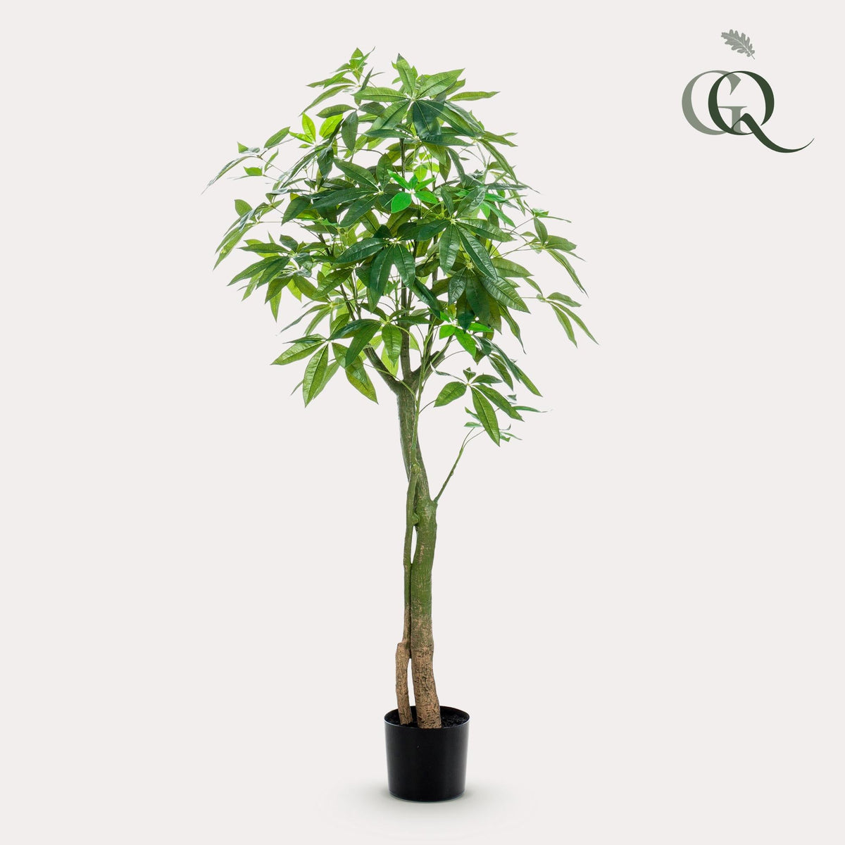 Kunstplant - Pachira Aquatica - Geldboom - 150 cm - Forestbloom