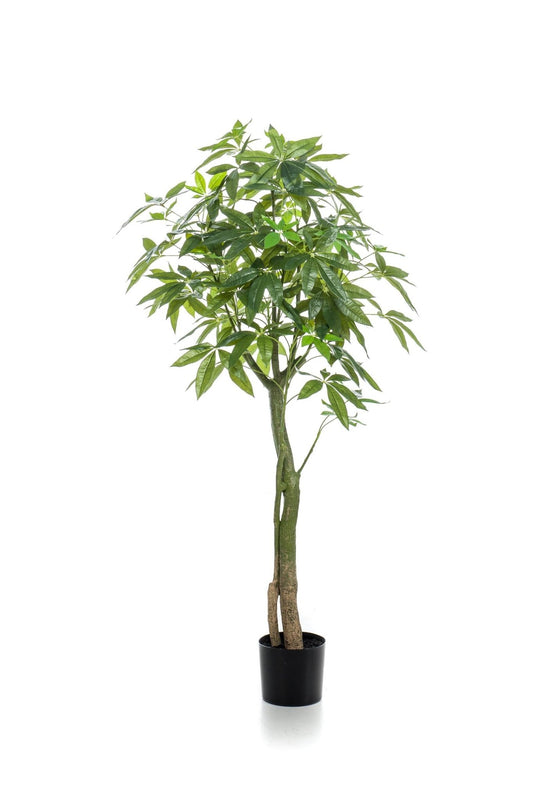 Kunstplant - Pachira Aquatica - Geldboom - 150 cm - Forestbloom