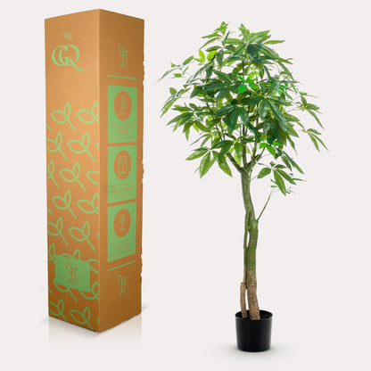Kunstplant - Pachira Aquatica - Geldboom - 150 cm - Forestbloom