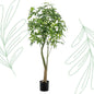 Kunstplant - Pachira Aquatica - Geldboom - 180 cm - Forestbloom