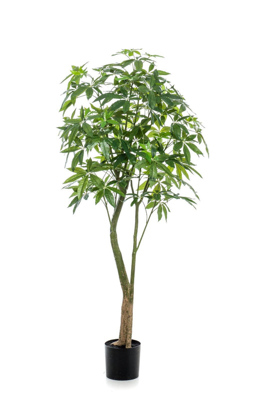 Kunstplant - Pachira Aquatica - Geldboom - 180 cm - Forestbloom