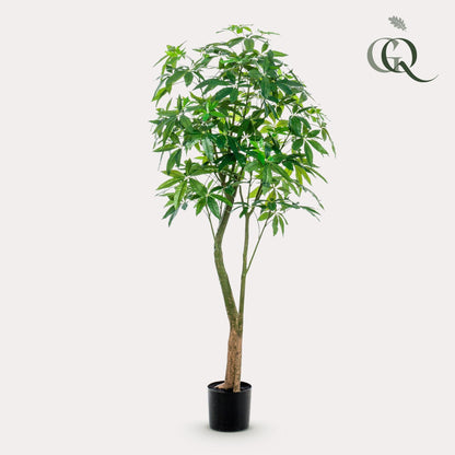 Kunstplant - Pachira Aquatica - Geldboom - 180 cm - Forestbloom