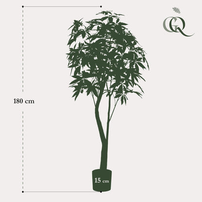 Kunstplant - Pachira Aquatica - Geldboom - 180 cm - Forestbloom