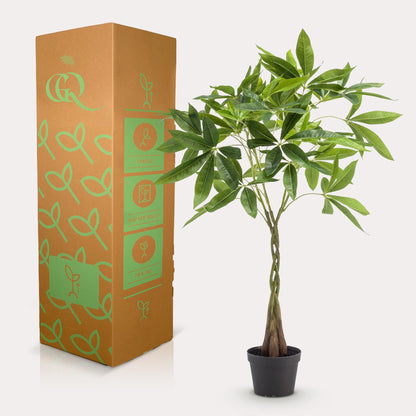 Kunstplant - Pachira aquatica - Geldboom - 90 cm - Forestbloom