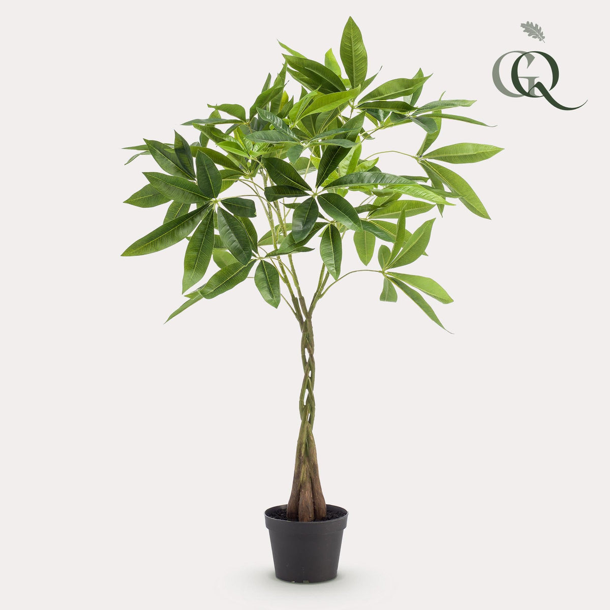 Kunstplant - Pachira aquatica - Geldboom - 90 cm - Forestbloom