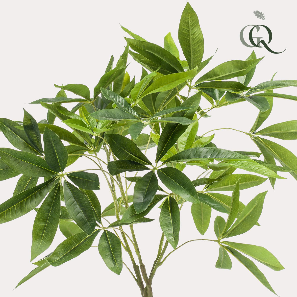 Kunstplant - Pachira aquatica - Geldboom - 90 cm - Forestbloom