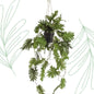 Kunstplant - Philodendron - Klimmende boomliefhebber - 80 cm - Forestbloom