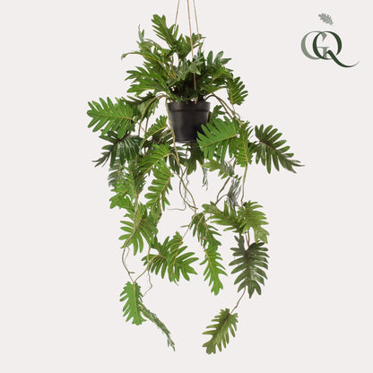 Kunstplant - Philodendron - Klimmende boomliefhebber - 80 cm - Forestbloom