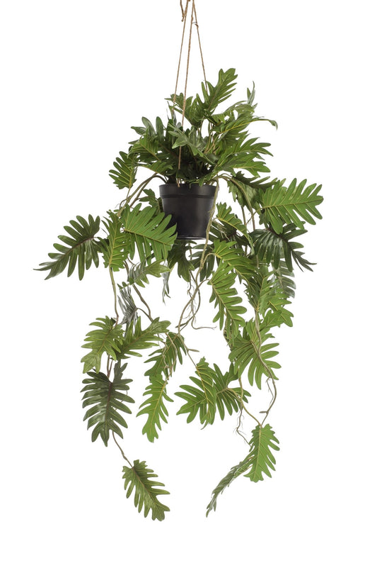 Kunstplant - Philodendron - Klimmende boomliefhebber - 80 cm - Forestbloom