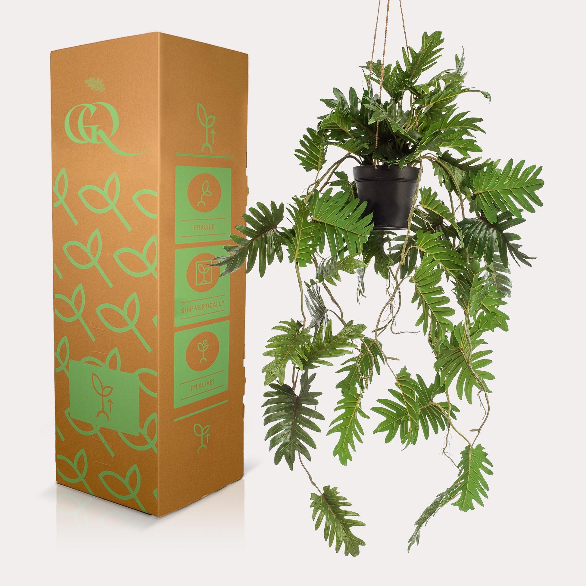 Kunstplant - Philodendron - Klimmende boomliefhebber - 80 cm - Forestbloom