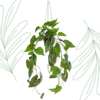 Kunstplant - Philodendron scandens - Klimmende Boomliefhebber - 80 cm - Forestbloom