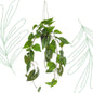 Kunstplant - Philodendron scandens - Klimmende Boomliefhebber - 80 cm - Forestbloom