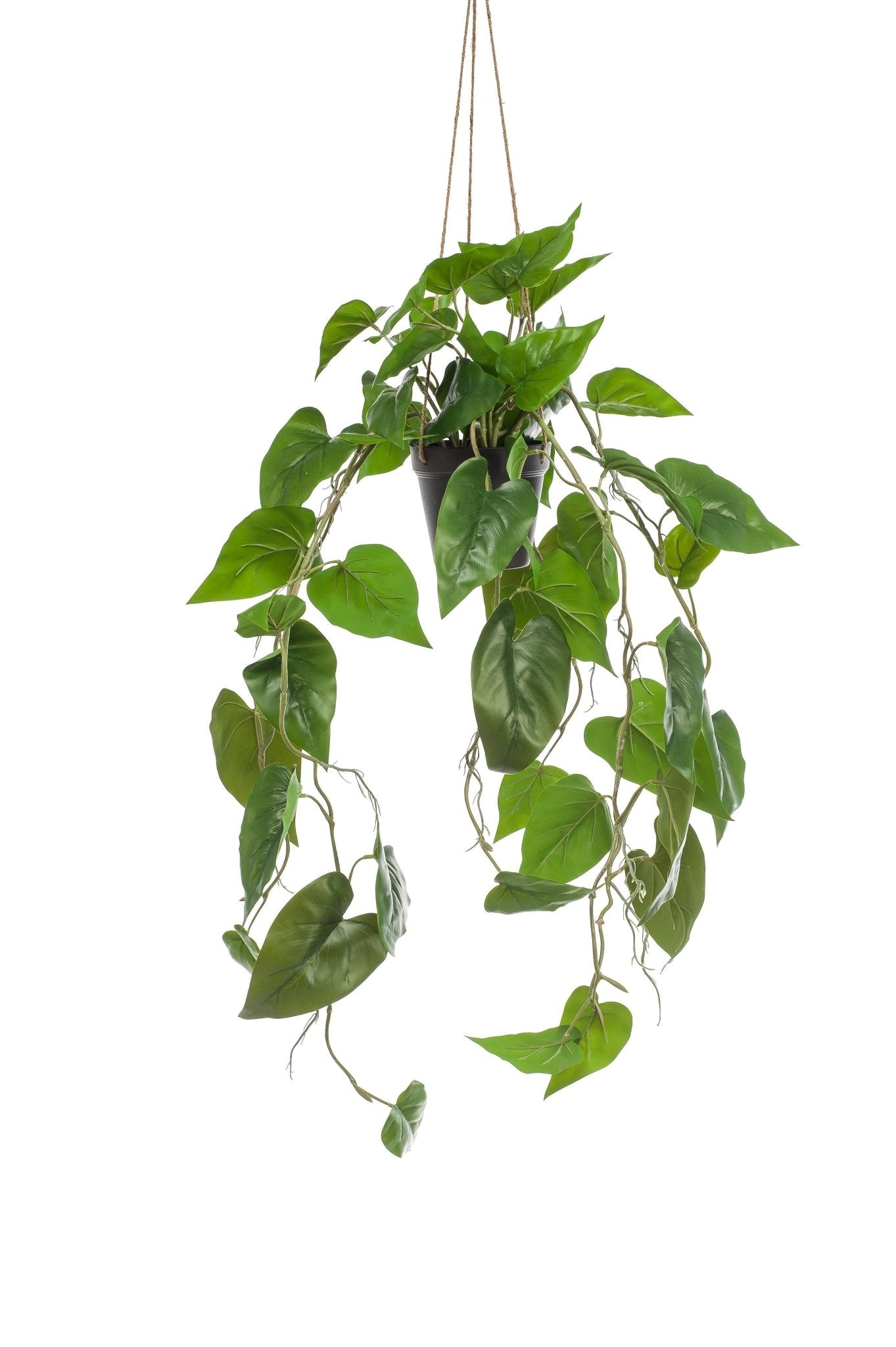 Kunstplant - Philodendron scandens - Klimmende Boomliefhebber - 80 cm - Forestbloom