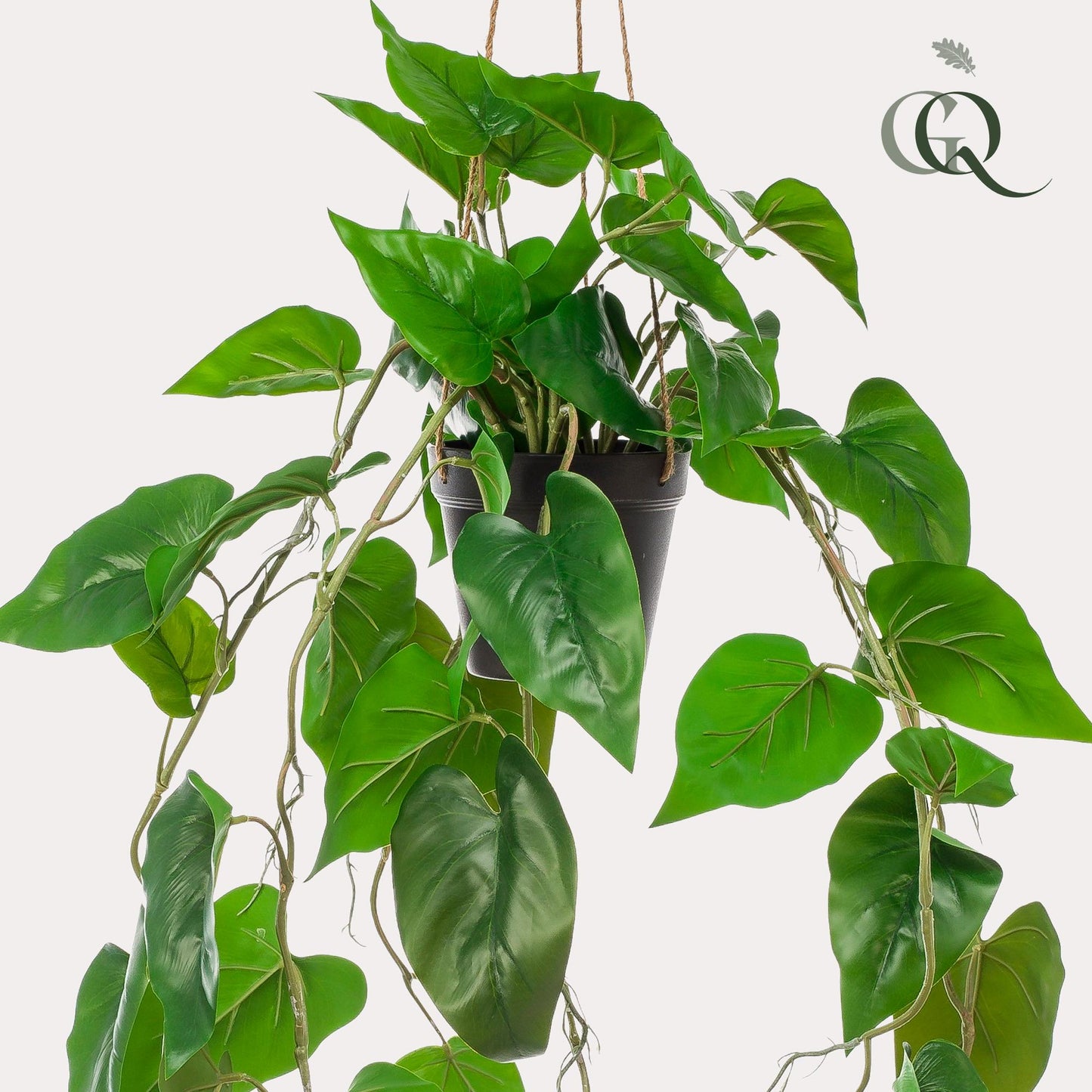 Kunstplant - Philodendron scandens - Klimmende Boomliefhebber - 80 cm - Forestbloom