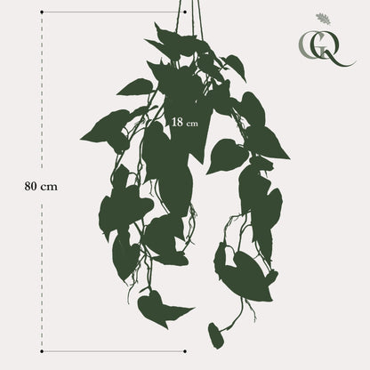Kunstplant - Philodendron scandens - Klimmende Boomliefhebber - 80 cm - Forestbloom