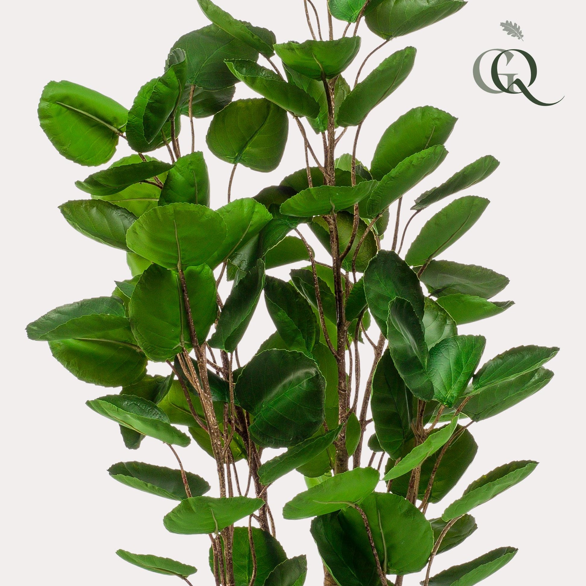 Kunstplant - Polyscias - Aralia - 105 cm - Forestbloom