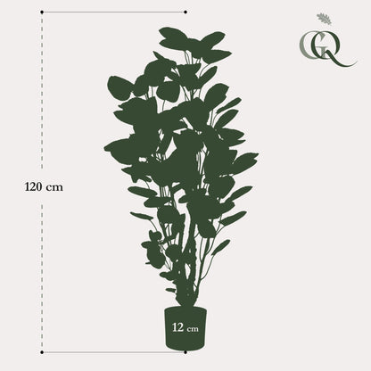 Kunstplant - Polyscias - Aralia - 105 cm - Forestbloom