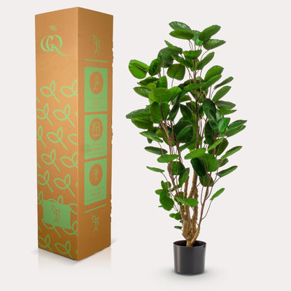Kunstplant - Polyscias - Aralia - 105 cm - Forestbloom
