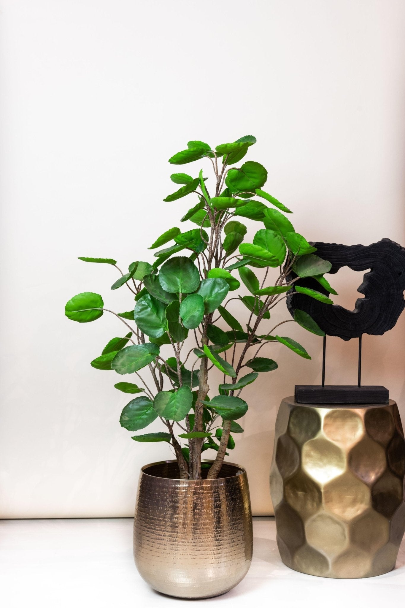 Kunstplant - Polyscias - Aralia - 105 cm - Forestbloom