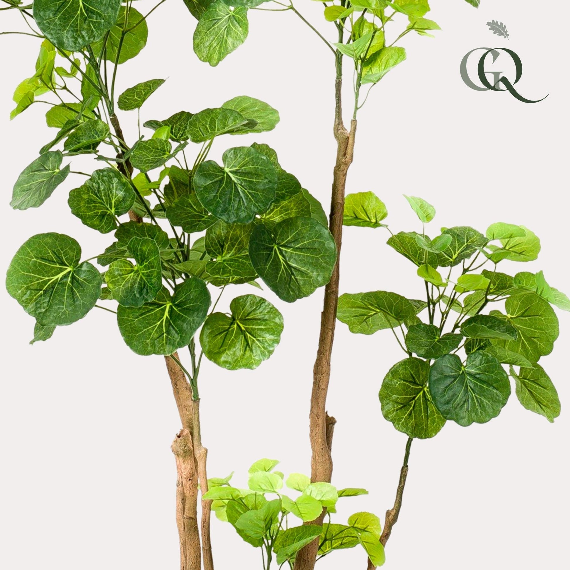Kunstplant - Polyscias - Aralia - 135 cm - Forestbloom