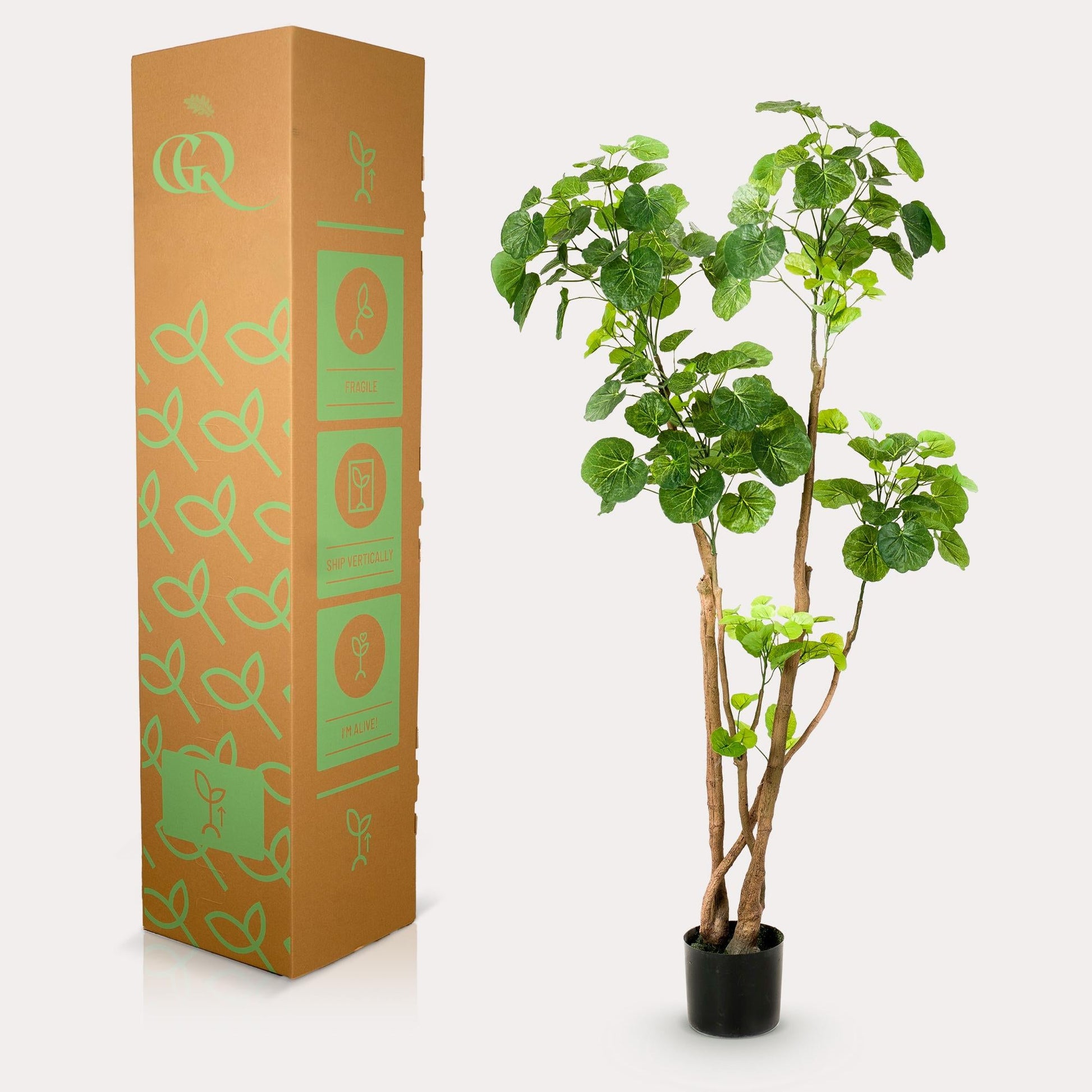 Kunstplant - Polyscias - Aralia - 135 cm - Forestbloom