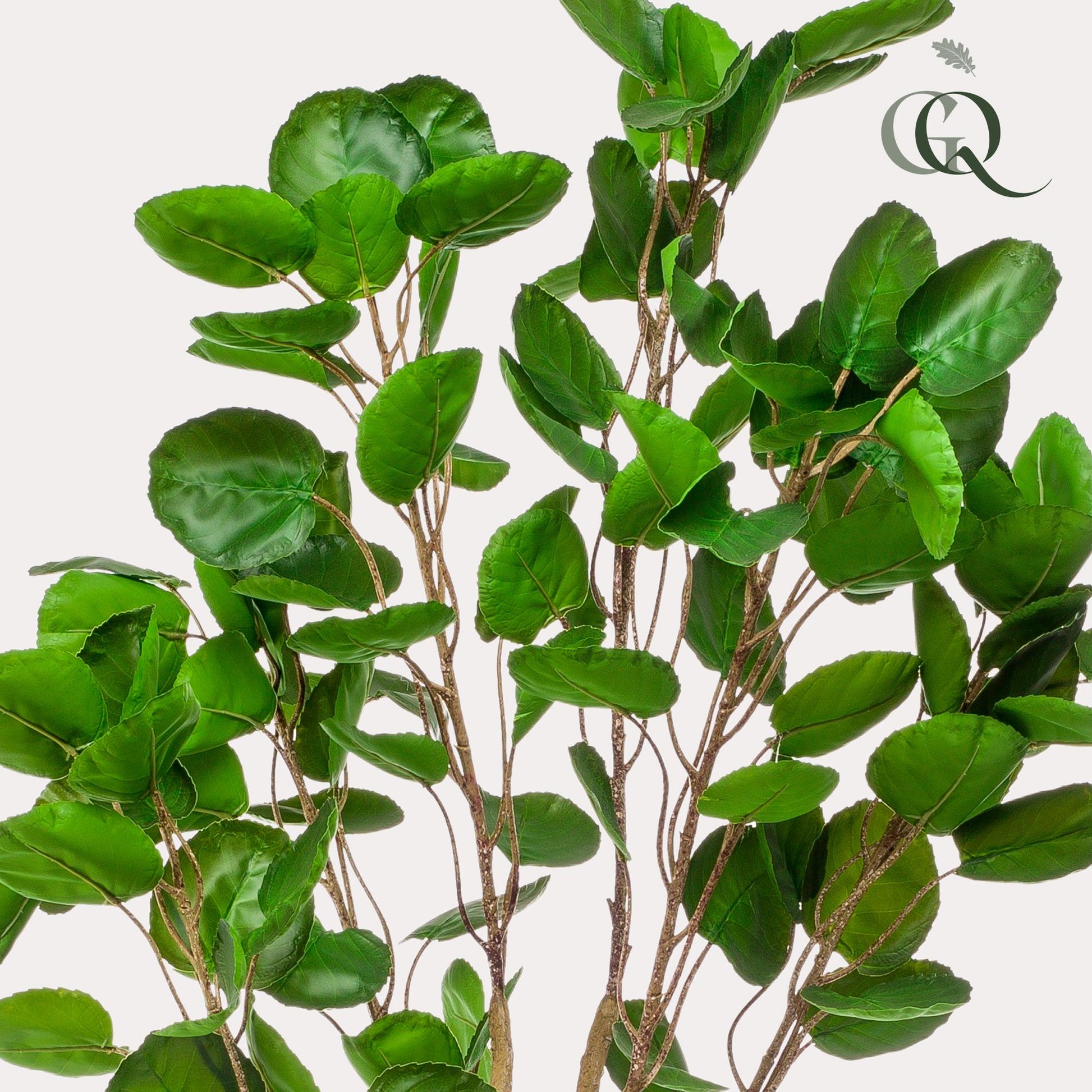Kunstplant - Polyscias - Aralia - 150 cm - Forestbloom
