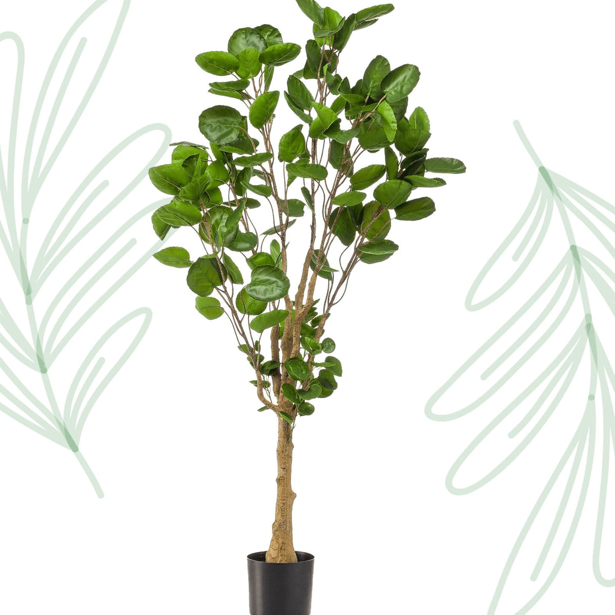Kunstplant - Polyscias - Aralia - 150 cm - Forestbloom