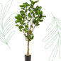 Kunstplant - Polyscias - Aralia - 150 cm - Forestbloom