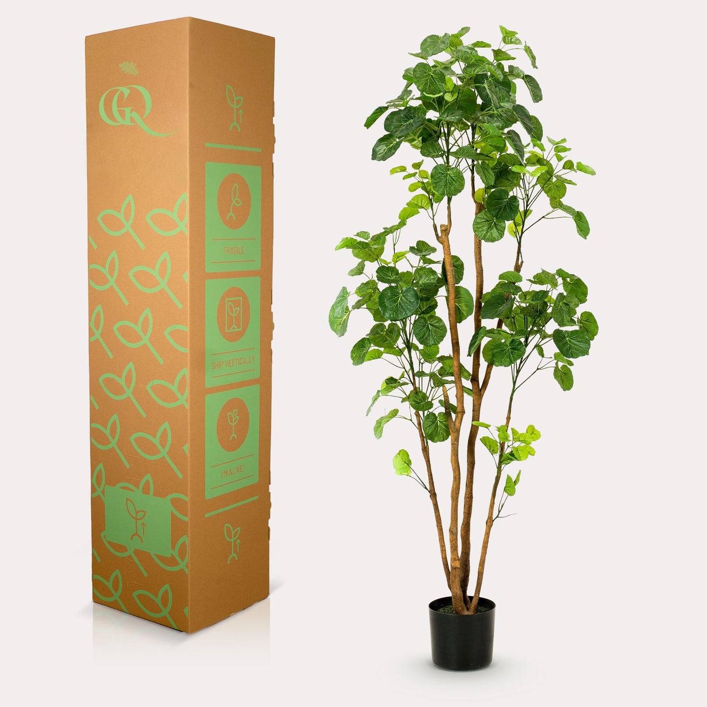 Kunstplant - Polyscias - Aralia - 160 cm - Forestbloom