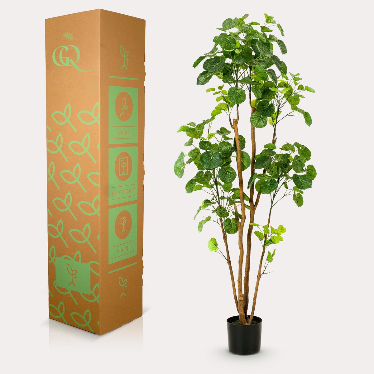 Kunstplant - Polyscias - Aralia - 160 cm - Forestbloom