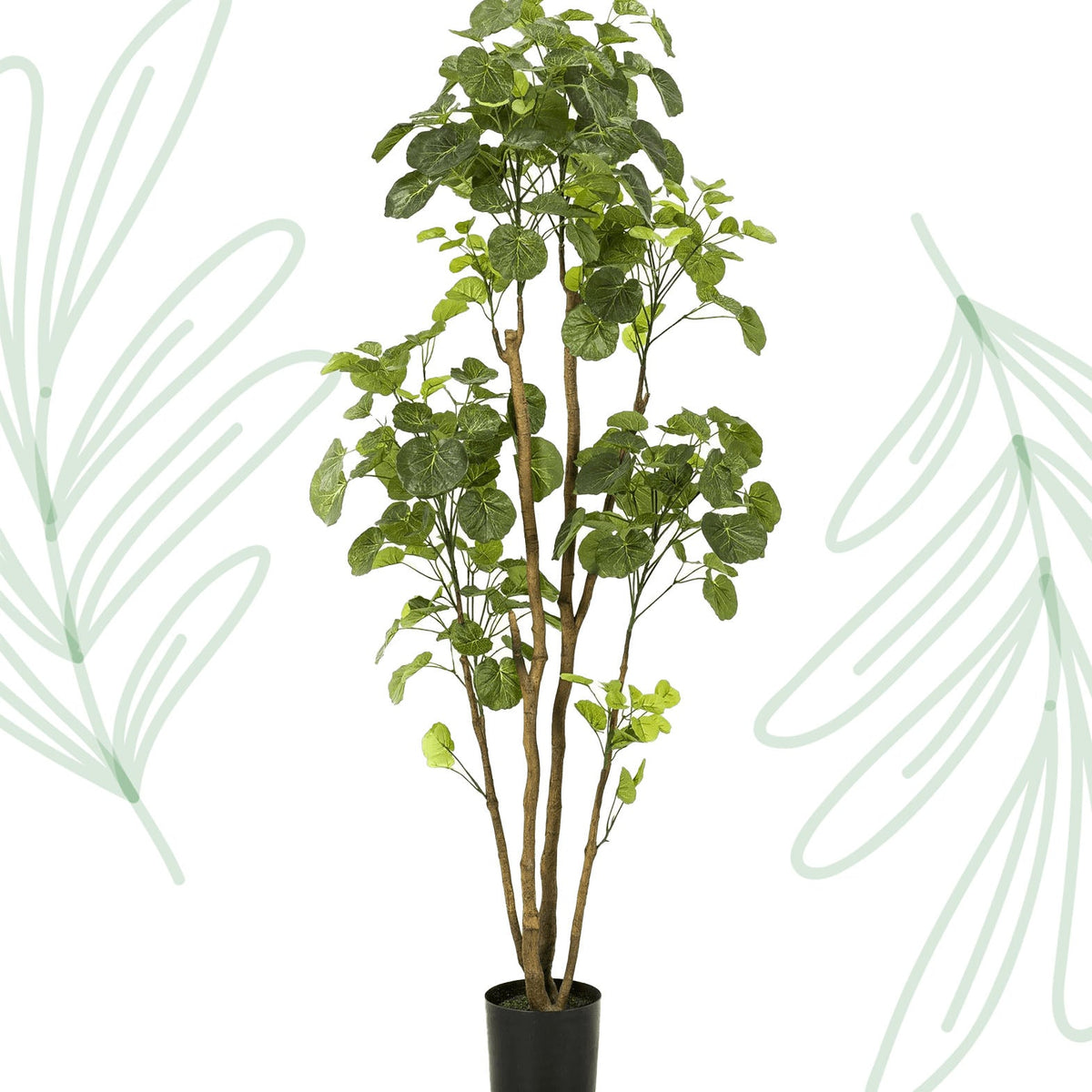 Kunstplant - Polyscias - Aralia - 160 cm - Forestbloom