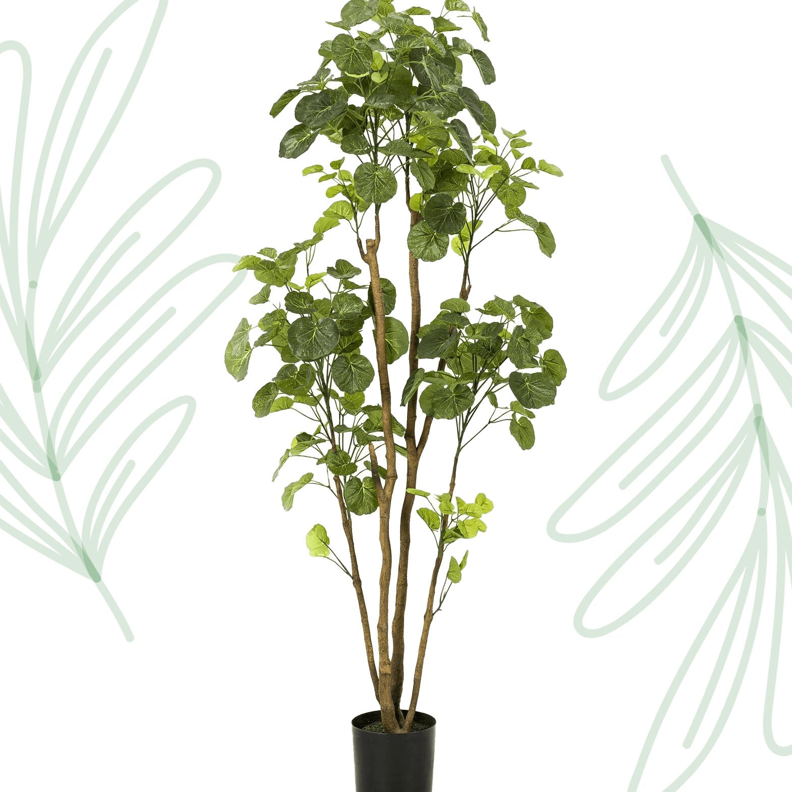Kunstplant - Polyscias - Aralia - 160 cm - Forestbloom