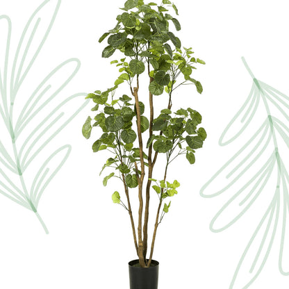 Kunstplant - Polyscias - Aralia - 160 cm - Forestbloom