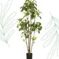 Kunstplant - Polyscias - Aralia - 160 cm - Forestbloom