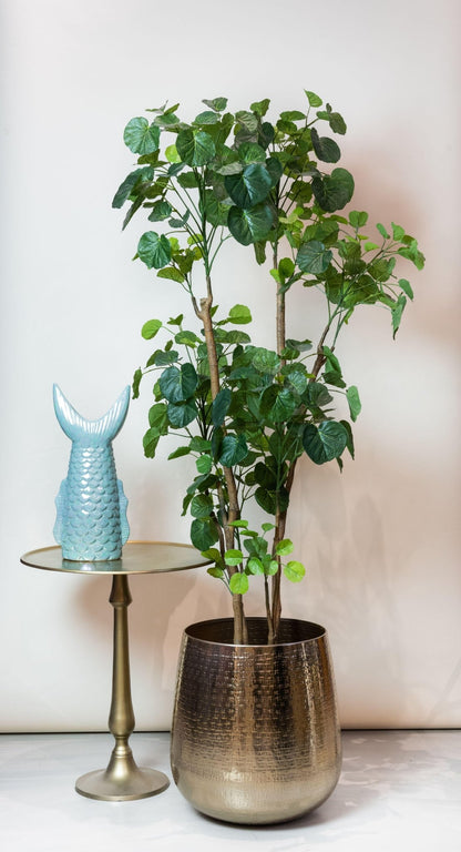 Kunstplant - Polyscias - Aralia - 160 cm - Forestbloom