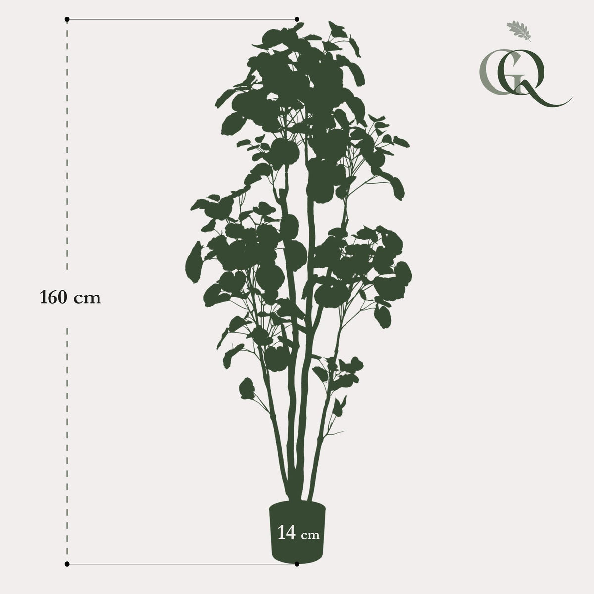 Kunstplant - Polyscias - Aralia - 160 cm - Forestbloom