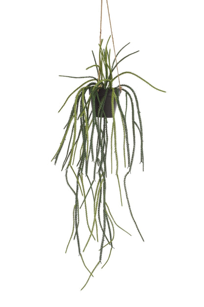 Kunstplant - Rhypsalis - Koraalcactus - 85 cm - Forestbloom