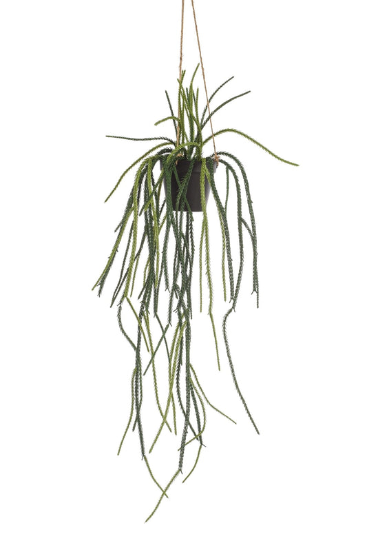 Kunstplant - Rhypsalis - Koraalcactus - 85 cm - Forestbloom