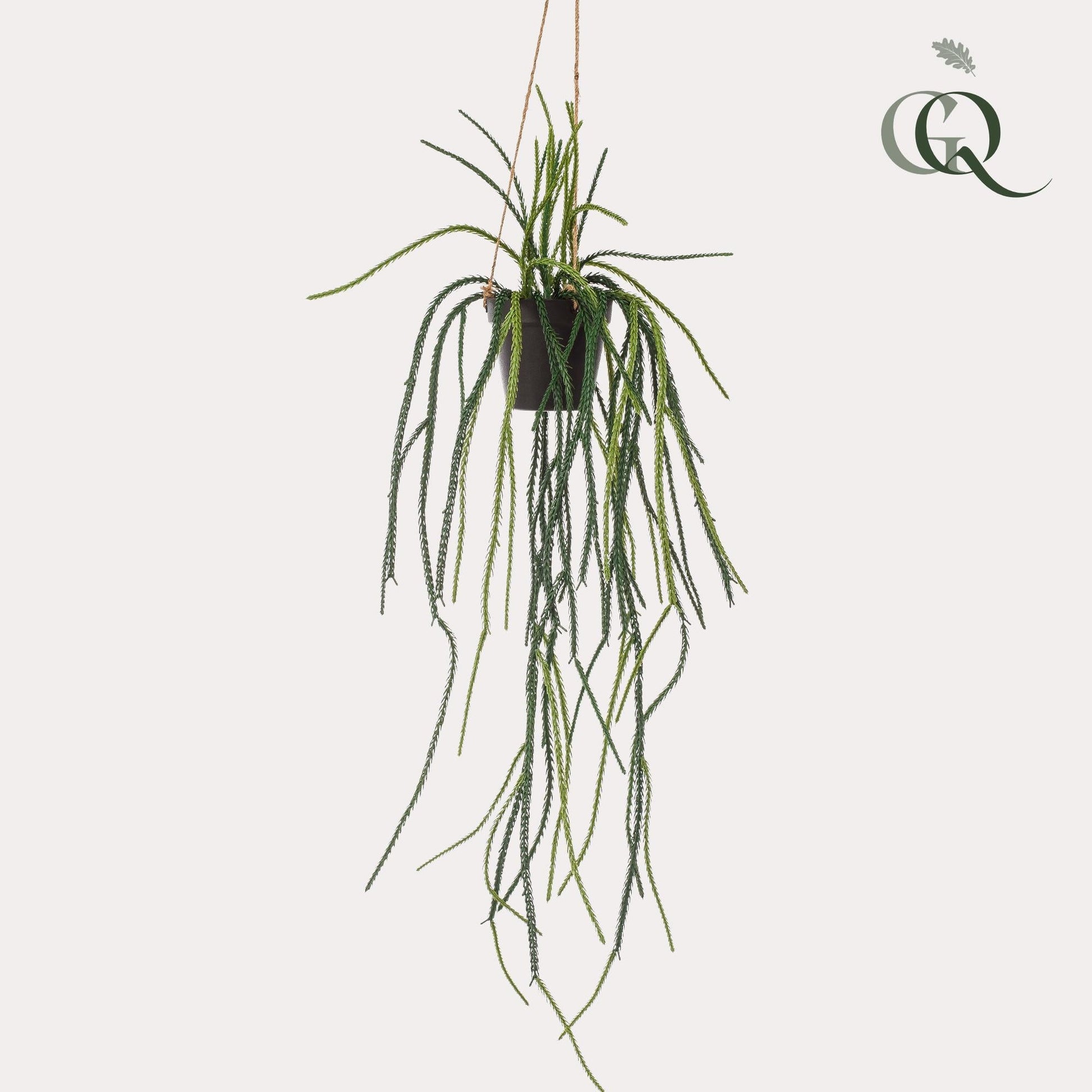 Kunstplant - Rhypsalis - Koraalcactus - 85 cm - Forestbloom